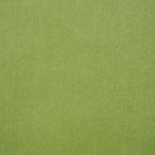 Load image into Gallery viewer, SCHUMACHER ROCKY PERFORMANCE VELVET FABRIC 70575 / ALOE