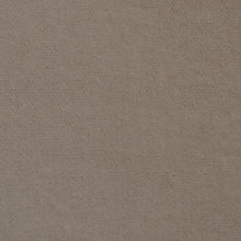 Load image into Gallery viewer, SCHUMACHER ROCKY PERFORMANCE VELVET FABRIC 70577 / OYSTER