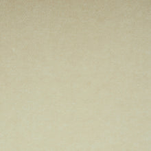 Load image into Gallery viewer, SCHUMACHER ROCKY PERFORMANCE VELVET FABRIC 70578 / PARCHMENT