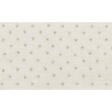 Load image into Gallery viewer, Schumacher Northern Lights Tape Trim 70620 / Ivory