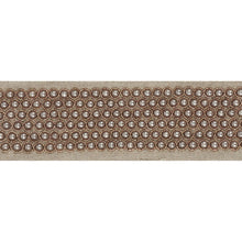 Load image into Gallery viewer, Schumacher Garbo Tape Trim 70701 / Taupe