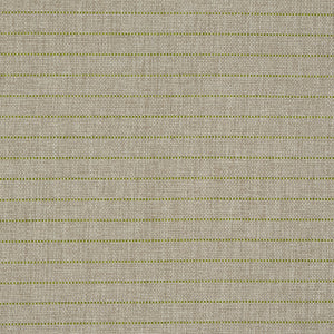 Schumacher Manning Stripe Indoor/outdoor Fabric 71813 / Lime