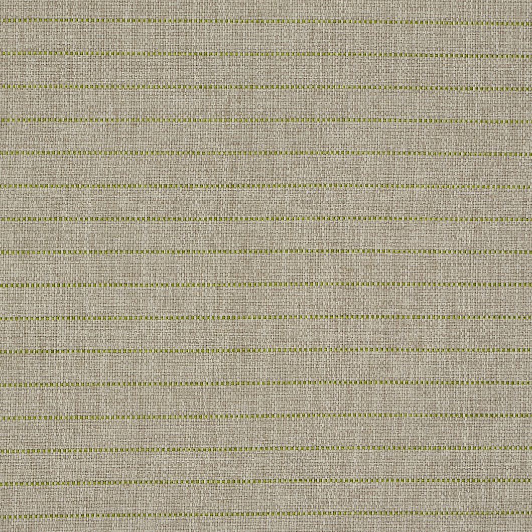 Schumacher Manning Stripe Indoor/outdoor Fabric 71813 / Lime