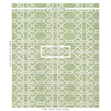 Load image into Gallery viewer, SCHUMACHER ZIZ EMBROIDERY FABRIC 71933 / GREEN