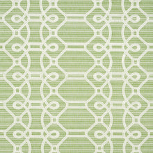 Load image into Gallery viewer, SCHUMACHER ZIZ EMBROIDERY FABRIC 71933 / GREEN
