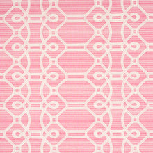 Load image into Gallery viewer, SCHUMACHER ZIZ EMBROIDERY FABRIC 71935 / PINK