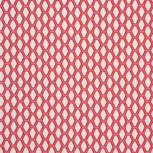 SCHUMACHER BEEHIVE FABRIC / VALENTINE