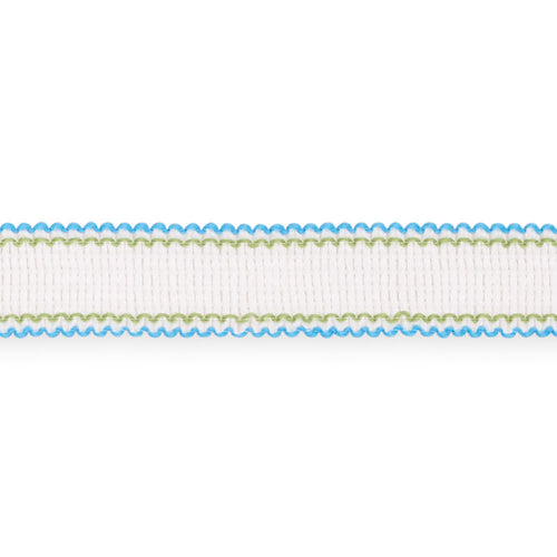 Schumacher Filippa Tape Trim 73571 / Aqua