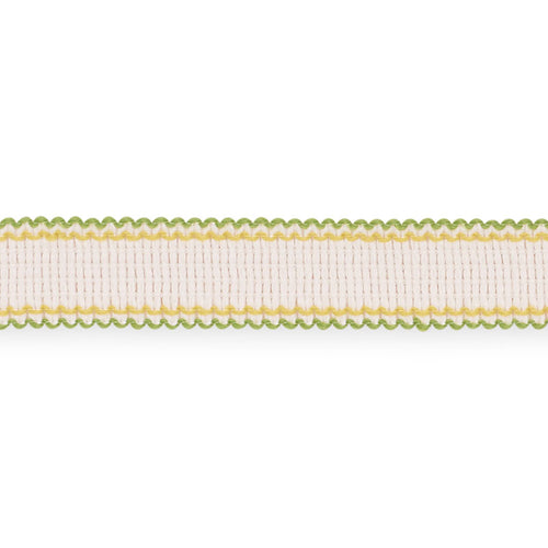 Schumacher Filippa Tape Trim 73575 / Leaf
