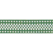 Load image into Gallery viewer, Schumacher Marta Tape Trim 73655 / Green