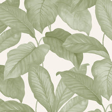 Load image into Gallery viewer, Schumacher Bo Wallpaper 7402 / Leaf