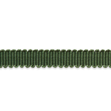 Load image into Gallery viewer, Schumacher Pierre Silk Gimp Extra Narrow Trim 74634 / Emerald