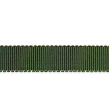 Load image into Gallery viewer, Schumacher Pierre Silk Gimp Narrow Trim 74654 / Emerald
