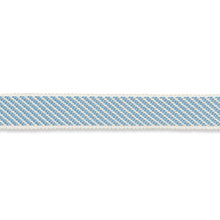 Load image into Gallery viewer, Schumacher Winston Cotton Braid Narrow Trim 74842 / Sky