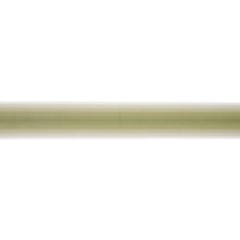 Load image into Gallery viewer, Schumacher Belton Tape Trim 75596 / Green