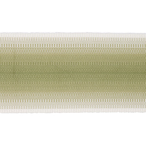 Schumacher Belton Tape Trim 75596 / Green
