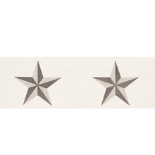 Load image into Gallery viewer, Schumacher Etoile Tape Trim 75831 / Grey