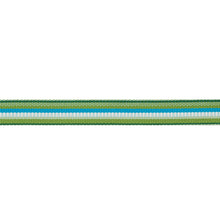 Load image into Gallery viewer, Schumacher Primavera Tape Narrow Trim 75980 / Meadow