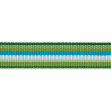 Load image into Gallery viewer, Schumacher Primavera Tape Narrow Trim 75980 / Meadow