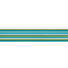 Load image into Gallery viewer, Schumacher Primavera Tape Wide Trim 75990 / Meadow