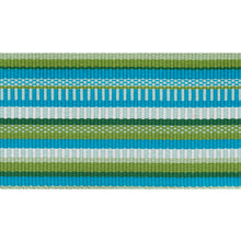Load image into Gallery viewer, Schumacher Primavera Tape Wide Trim 75990 / Meadow