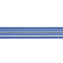 Load image into Gallery viewer, Schumacher Primavera Tape Wide Trim 75991 / Sea
