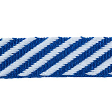 Load image into Gallery viewer, Schumacher Twill Tape Trim 76105 / Navy