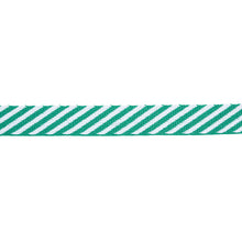 Load image into Gallery viewer, Schumacher Twill Tape Trim 76106 / Emerald