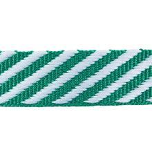 Load image into Gallery viewer, Schumacher Twill Tape Trim 76106 / Emerald