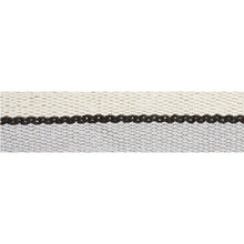 Load image into Gallery viewer, Schumacher Ile Saint-Louis Narrow Tape Trim 77000 / White Black &amp; Silvery Blue