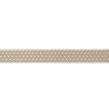 Load image into Gallery viewer, Schumacher Mandeville Tape Trim 77152 / Blush