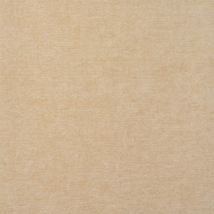 SCHUMACHER RYDER PERFORMANCE CHENILLE FABRIC 77160 / NATURAL