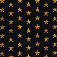 Load image into Gallery viewer, SCHUMACHER STAR EPINGLE FABRIC 77420 / BLACK