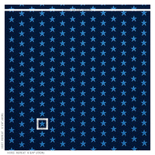 Load image into Gallery viewer, SCHUMACHER STAR EPINGLE FABRIC 77421 / BLUE