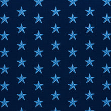 Load image into Gallery viewer, SCHUMACHER STAR EPINGLE FABRIC 77421 / BLUE