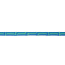 Load image into Gallery viewer, Schumacher Osilas Tape Trim 77470 / Peacock