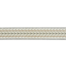 Load image into Gallery viewer, Schumacher Marion Velvet Tape Trim 77620 / Ivory