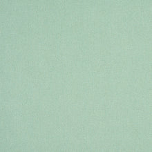 Load image into Gallery viewer, Schumacher Albert Performance Cotton Fabric 77809 / Mineral