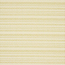 Load image into Gallery viewer, Schumacher Fabric Branford Indoor/outdoor 78543 / Lime