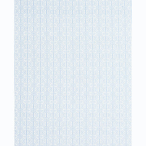 Schumacher Poxte Hand Woven Fabric 78893 / Cloud