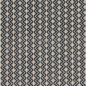 Schumacher Pinula Hand Woven Fabric 78910 / Black