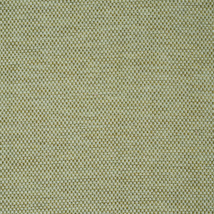 Schumacher Momo Hand Woven Texture Fabric 78933 / Fern