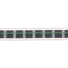 Load image into Gallery viewer, Schumacher Calcada Tape Medium Trim 79203 / Emerald