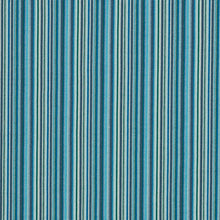 Load image into Gallery viewer, Schumacher Sinoir Stripe Fabric 79352 / Blue