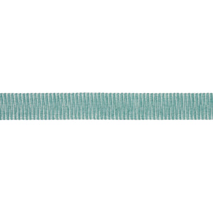 Schumacher Pierce Tape Indoor/Outdoor Trim 79414 / Aqua