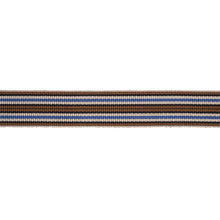 Load image into Gallery viewer, Schumacher Topaki Stripe Tape Trim 79750 / Bluebell