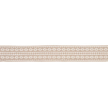 Load image into Gallery viewer, Schumacher Talitha Tape Trim 79920 / Ivory On Natural