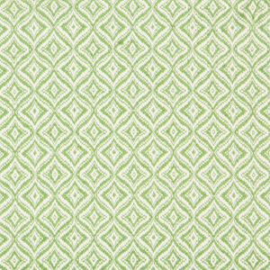 Brunschwig & Fils Embrun Woven Fabric / Apple Green