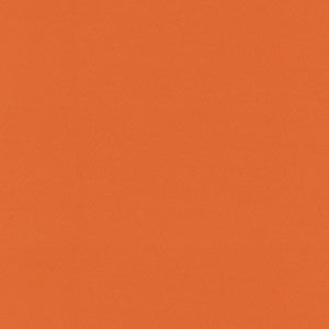 Brunschwig & Fils Adrien Cotton Fabric / Orange