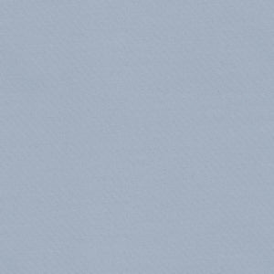 Brunschwig & Fils Adrien Cotton Fabric / Slate Blue